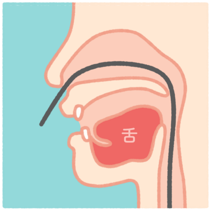鼻